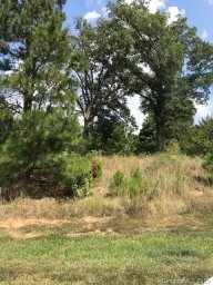 2308 Timberline Drive