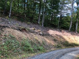 00 Left Fork Run Road