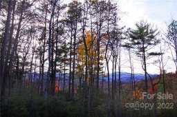 Tract 2 Bear Pen Hollow Road