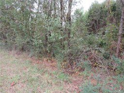 113 Coleman Goforth Farm Road