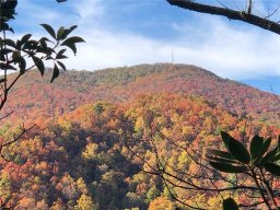 115 Davey Crockett Road