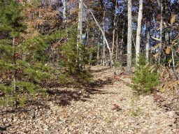 256 Mountain Springs Drive