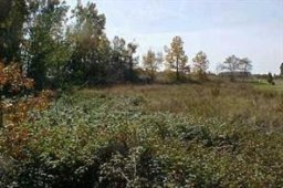 1603 Lewis Farm Road