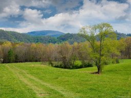 Lot 4 Turkey Ridge Road