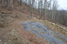 0000 Long Branch Road