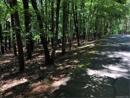 Lots 87 88 Pine Lane