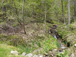 00 Hurricane Ridge Trace