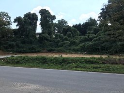 99999 Glenn Bridge Road