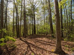 1156 Bear River Lodge Trail