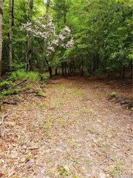 Lot 10a Dogwood Court