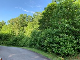 146 Forest Creek Drive