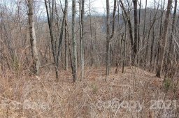 Lot 526 Pear Tree Drive