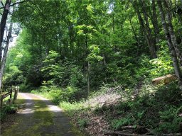 9999 Chestnut Walk Drive