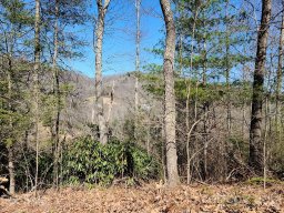 000 Harleys Cove Road