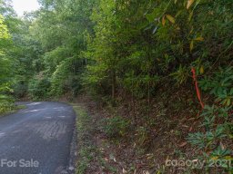 00 Wildflower Cove Road