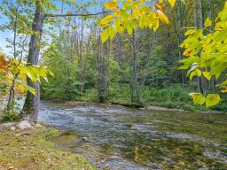 99999 Sunnyside Drive