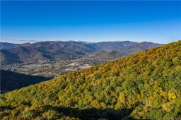 27 Mountain Mint Drive