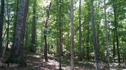 55 Ac Balmoral Drive