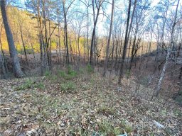 0 Bills Mountain Trail