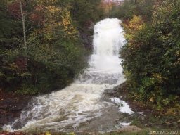 99999 Deer Ridge Trail