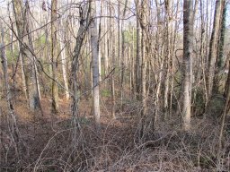 256 Burge Mountain Road