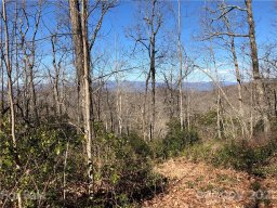 65 Indian Camp Mountain Road