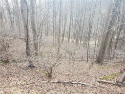 Tbd Spring Valley Road