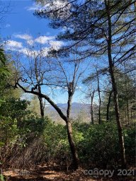 Lot 18 R Hawkins Hollow Road