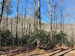 00 Golden Trout Drive