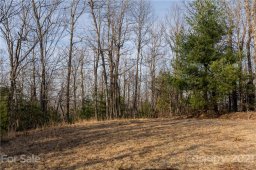 298 299 Shoal Creek Road