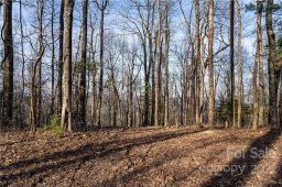 360 W Chestnut Ridge