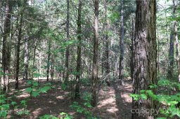 Lot 95 Waxhaw Creek Road