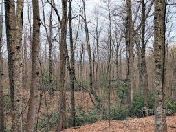 00 Melrose Mountain Road