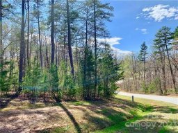 1 55 Acres Lot 30 Shady Bark Lane