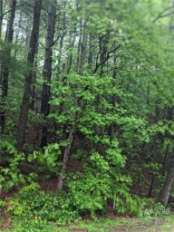 0 Melrose Mountain Road