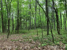 Lot 213 Walnut Ridge Road