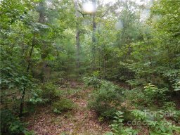 00 Maple Spring Court