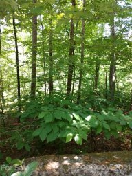 000 Rocky Mountain Drive