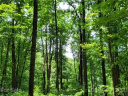 Track 2 Miller Mountain Road