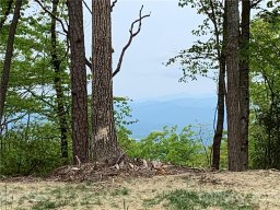 Lot 54 Couch Mountain None