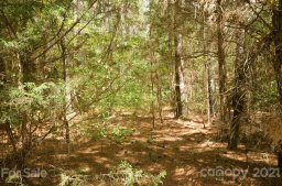 Lot 8 Lee Lawing Road