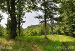 387 The Vines Boulevard