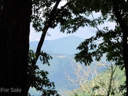 266 Mountain Laurel Road