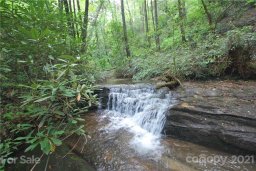 Lot 55 Sweetleaf Lane