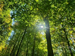 4 Smokey Shadows Lane