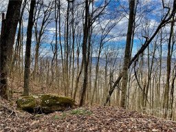 Lots 315 317 Mcguires Ridge