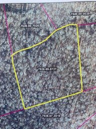 Vl 54 Mountain Forest Estates Road