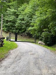 0 English Setter Trail