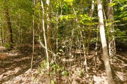 Lot 9a Lee Lawing Road