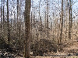 99999 Old Forest Drive